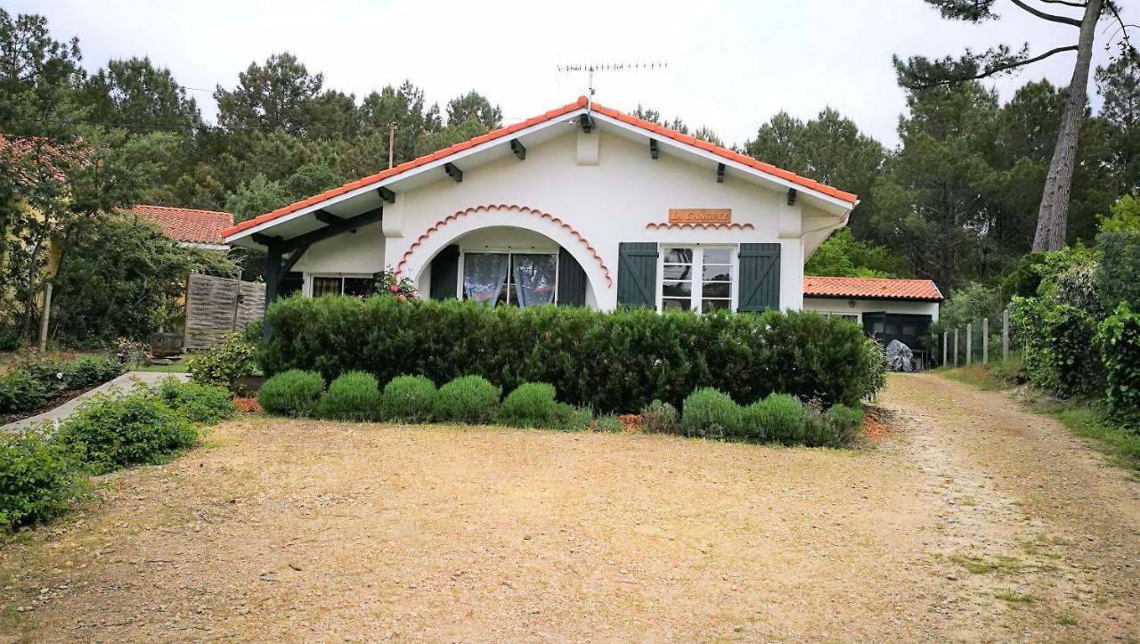 La Canopee Mimizan-Plage Exteriér fotografie