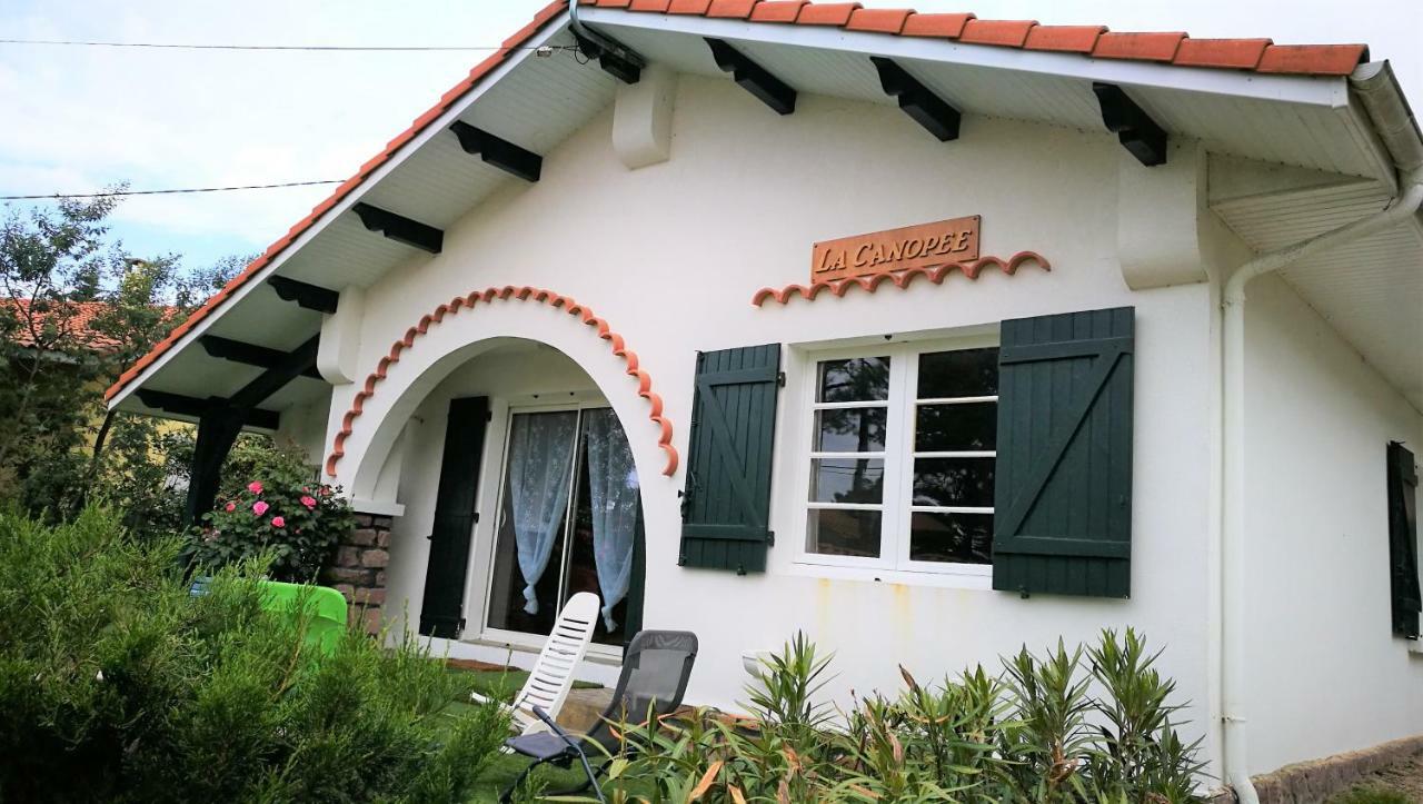 La Canopee Mimizan-Plage Exteriér fotografie